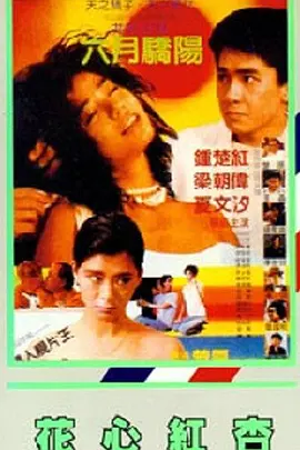 亚洲理论视频