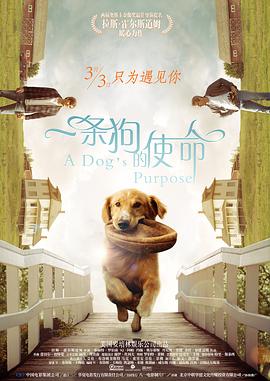 成年人午夜网站