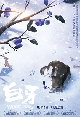 久久久久综合一本久道