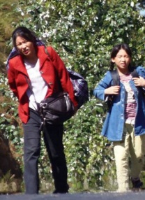 福利视频二区