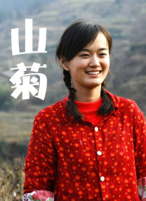 免费域名网站