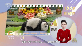 一级猛片免费看